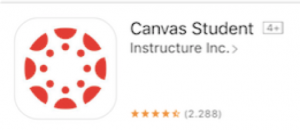 Canvas App